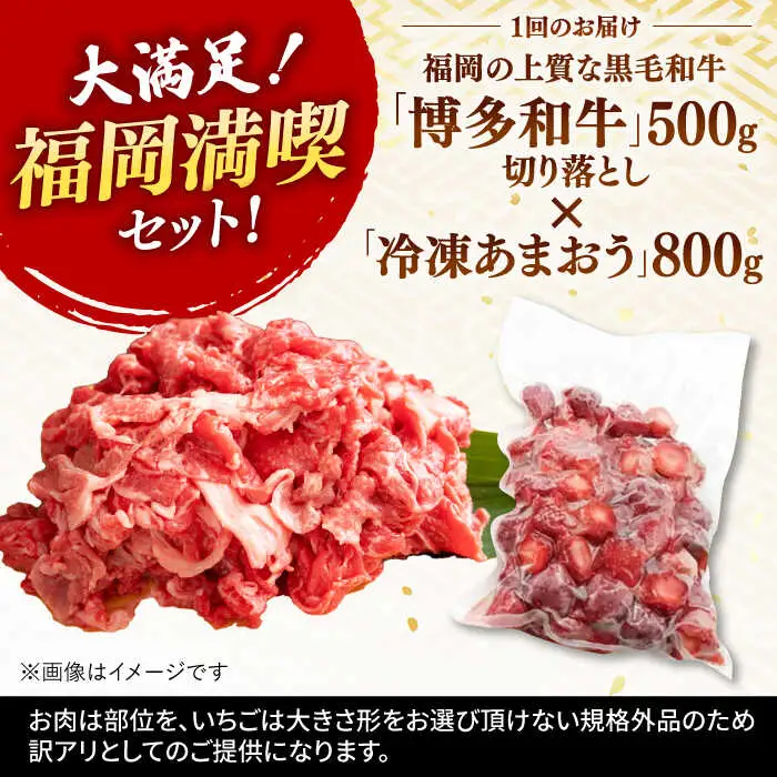 【全3回定期便】【訳あり】博多和牛 切り落とし ＆ あまおう セット1.3kg 桂川町/株式会社 MEAT PLUS [ADAQ069] 訳あり 定期便国産 牛肉 和牛 牛切り落とし イチゴ いちご 