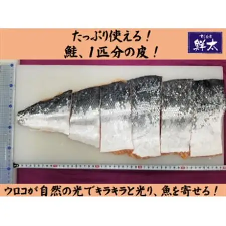 釣りエサ用「鮭の皮」フリーカット約800g(深海・中深海釣りなど)お好きなサイズにカットしてください_雑貨・日用品 アウトドア用品 スポーツ・アウトドア用品 _【配送不可地域：離島】【1502931】