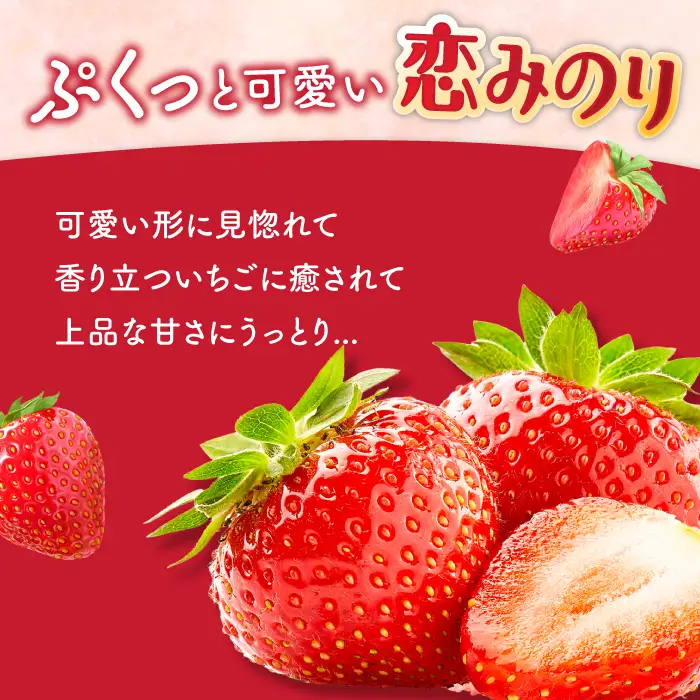 【2027年1月-発送】 いちご恋みのり 250g × 4パック [SAC007] いちご