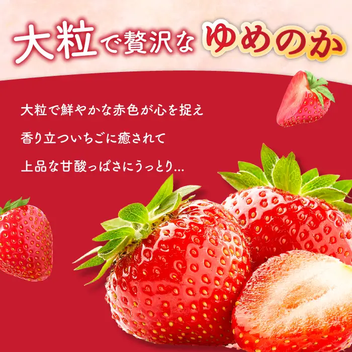 【2027年1月-発送】 いちごゆめのか 250g × 4パック [SAC008] いちご