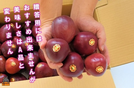 《今が旬！》【訳あり】南原(はいばる)農園さんの家庭用パッションフルーツ（約３kg） ( 訳有 わけあり 家庭用 キズ 色むら サイズ違い パッションフルーツ 果物 フルーツ 旬 南国 香り 奄美 徳之島 鹿児島 美味しい )