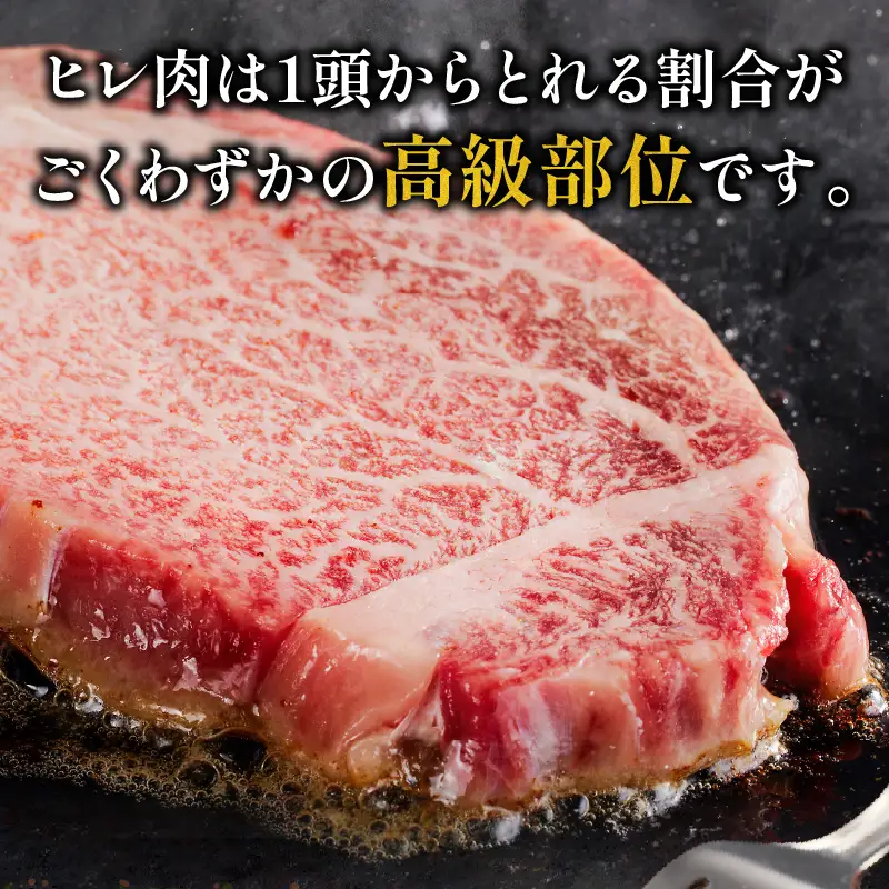 牛肉 ステーキ 牛肉[宮崎牛 ヒレ 600g]