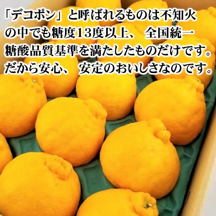 【秀品】和歌山有田のデコポン！約5kg【2027年1月下旬以降順次発送】【NGT2】