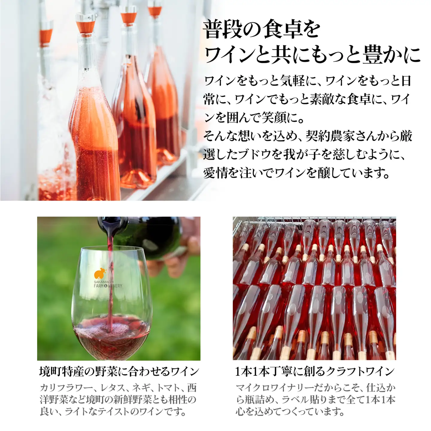 【3ヶ月定期便/毎月連続お届け】 ワイン おまかせ 飲み比べセット 750ml×2本 さかいまち
