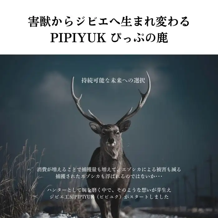 ピリ辛おつまみ エゾ鹿スライスジャーキー 40g×1袋【PIPIYUK】ジビエ 鹿肉 鹿 蝦夷鹿 シカ おやつ おつまみ スパイシー 干し肉 北海道 比布町 ぴっぷ 1023-001