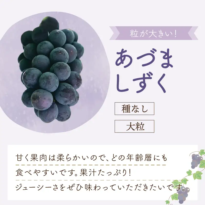 泉州ぶどう あづましずくとクイーンセブンの彩りセット【065D-017】