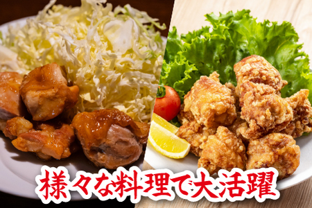 鶏肉 【やわらか新食感】宮崎県産若鶏肩肉3kgセット（300g×10P 希少部位 国産 安心安全 鶏肉 若鶏 冷凍）