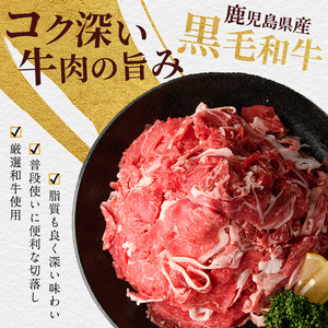 鹿児島県産黒毛和牛 切り落とし900g 300g×3P カミチク IB112-001 牛肉 牛肉 