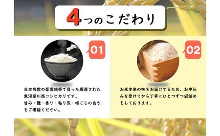 令和８年産米　先行予約【定期便／6ヶ月】魚沼産川西こしひかり5kg  ＜令和8年10月下旬～発送予定＞ 