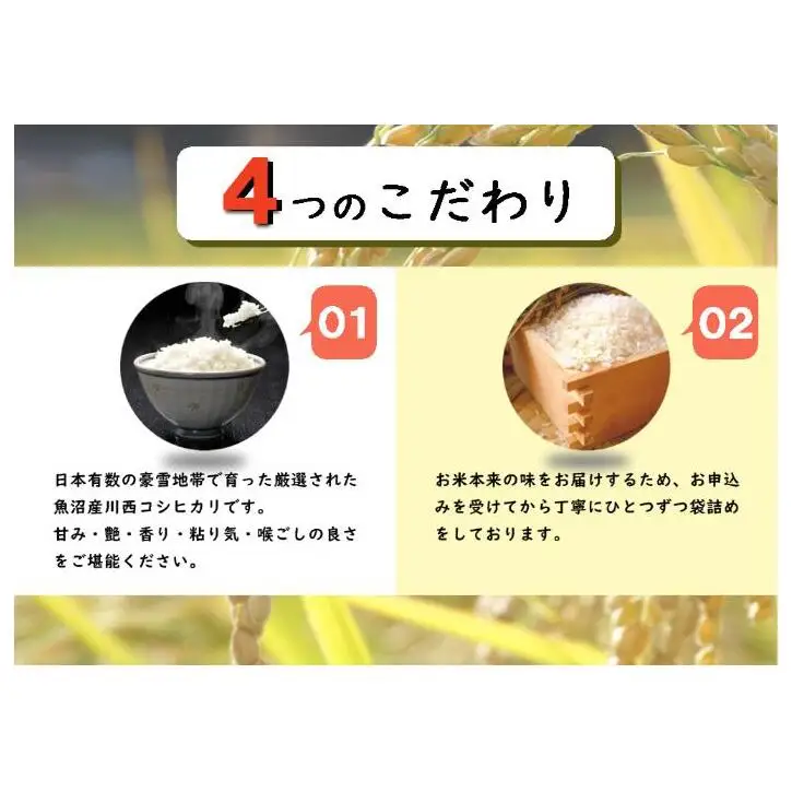 令和８年産米　先行予約【無洗米】魚沼産川西こしひかり5kg＜令和8年10月下旬～発送予定＞