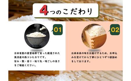 令和8年産　先行予約　【数量限定】 従来品種 魚沼産コシヒカリ 5kg 〈令和8年10月下旬～発送予定〉