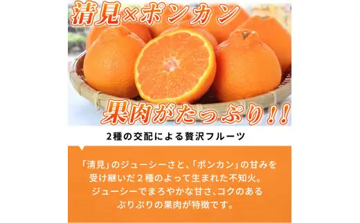 紀州 有田産 不知火 (しらぬひ)  2.5kg ※2027年2月中旬頃〜3月中旬頃発送予定 【uot794】