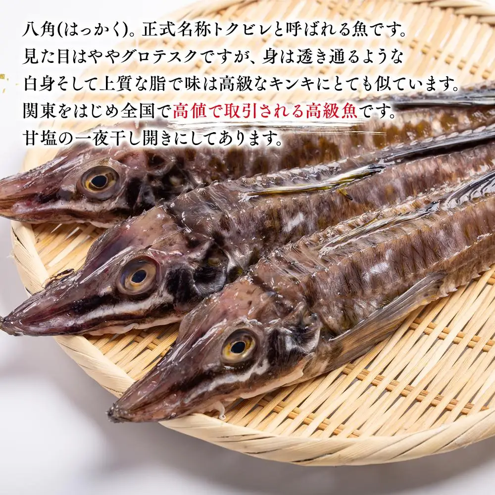 羅臼産 八角（ハッカク）一夜干し200g×3パック 魚 八角 北海道