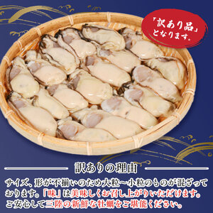 訳あり 冷蔵牡蠣 むき身500g 牡蠣[seikimaru001]