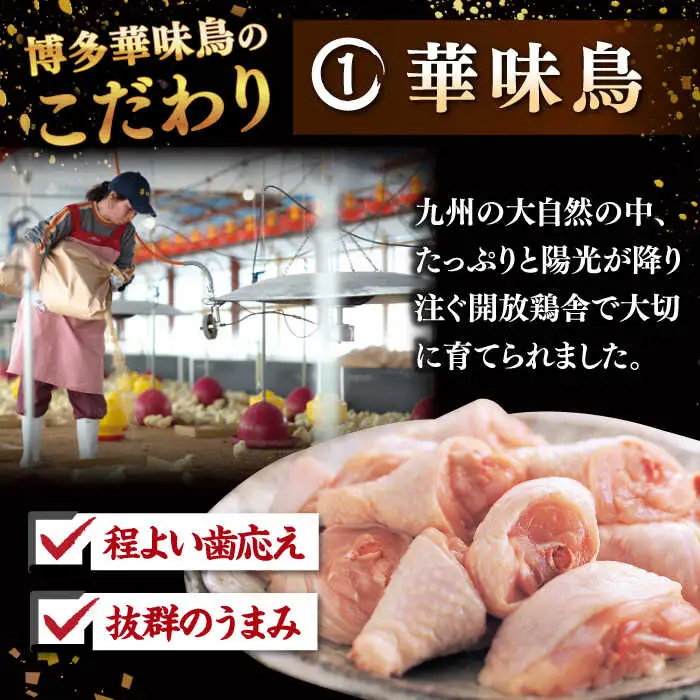 【全3回定期便】博多華味鳥 水炊き セット 3-4人前 （ぽん酢・柚胡椒付） 桂川町/トリゼンフーズ [ADBN004] 鶏 鍋 鍋セット お鍋 お取り寄せ 3人前 4人前 定期便