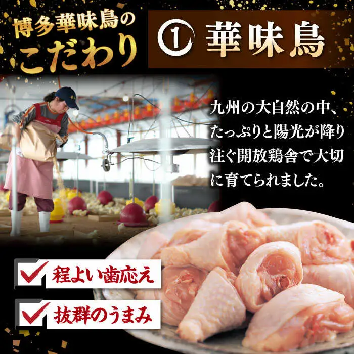 【全3回定期便】博多華味鳥 水炊き セット 6-8人前（ぽん酢・柚子胡椒付） 桂川町/トリゼンフーズ [ADBN010] 定期便鶏 鍋 鍋セット お鍋 ちゃんぽん 6人前 8人前 定期便