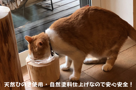 小林産ひのきを使ったペット用フードディッシュS（ヒノキ 愛犬 愛猫 ペット 木製 ボウル付き）