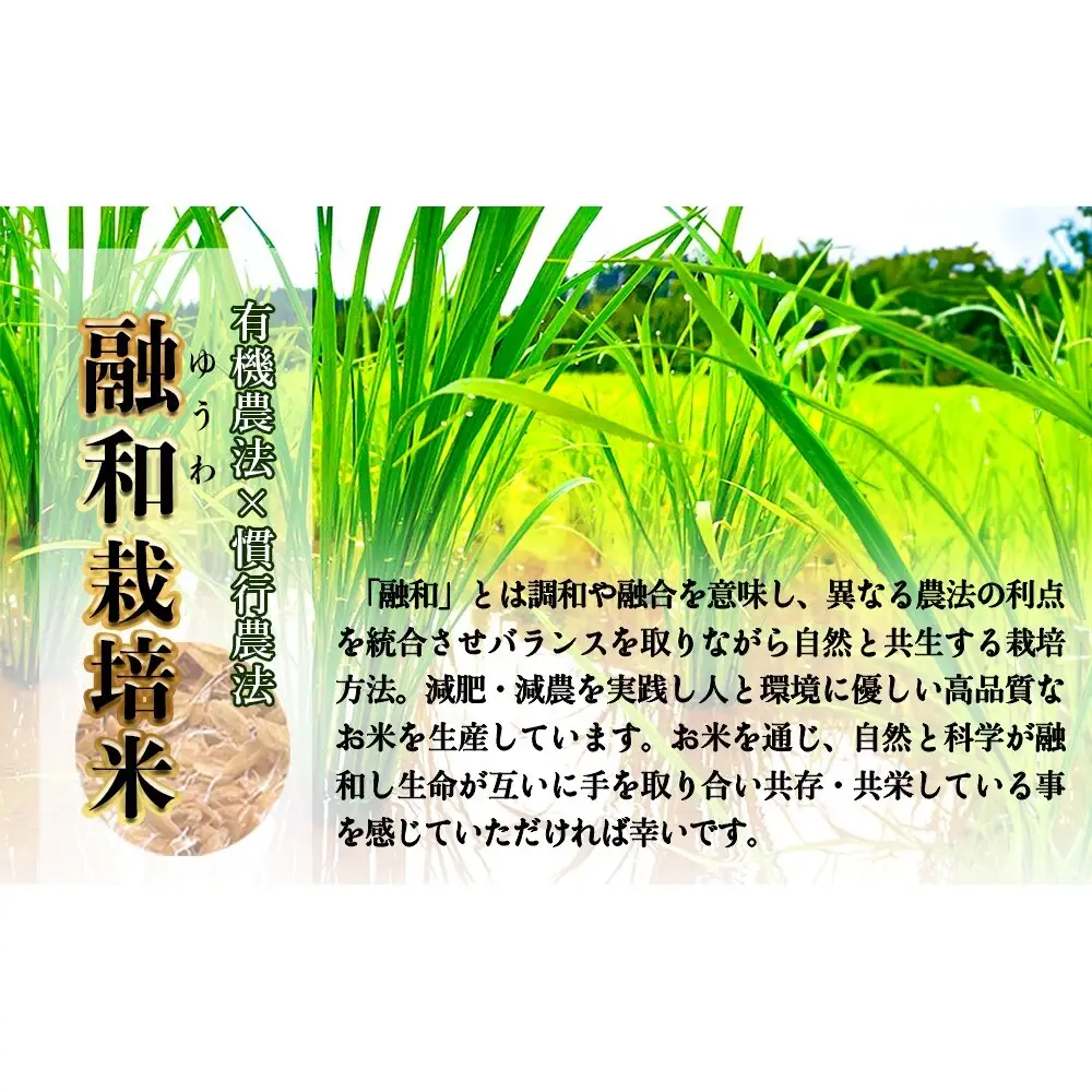 お米自慢コンクール優秀賞！  令和7年産 富山県産コシヒカリ 玄米 10kg  富山県 氷見市 こしひかり R7