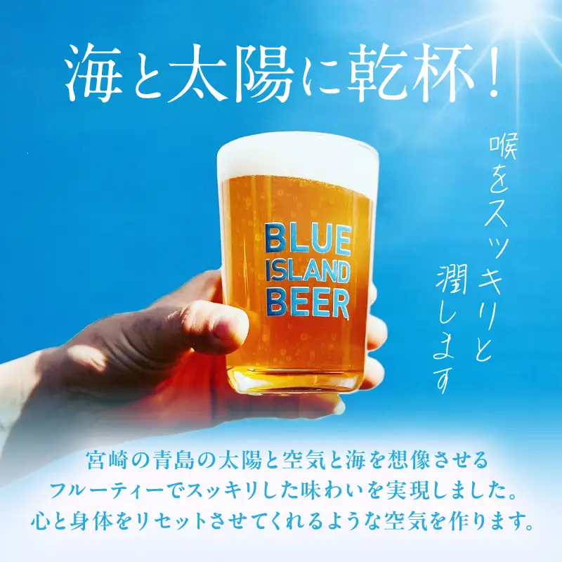 クラフトビール ビール 青島 サーフエール 6本・ビアグラス 1個 セット