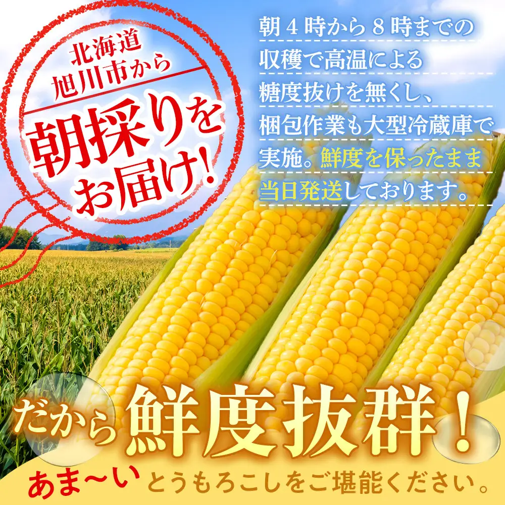 【先行予約】あさひやま動物園ライオンコーン3.2kg(ゴールドラッシュ8本)2026年8月下旬から発送開始 | とうもろこし 北海道産とうもろこし _03812