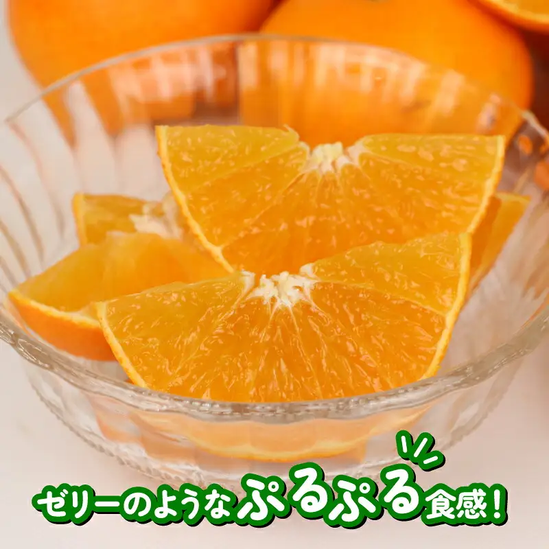 【紅まどんなと同品種】 訳あり みかん 愛果28号 まどんな ハウス栽培 約3kg ハマみかん 【 訳あり みかん 】 B010-075009