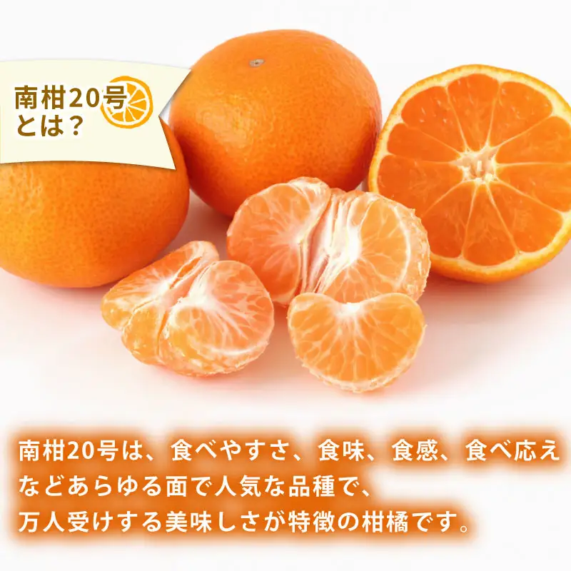 贈答用 南柑20号 5kg 植村農園 先行予約 温州 温州みかん みかん 果物 くだもの フルーツ 柑橘 蜜柑 贈答 ギフト プレゼント 農家直送 産地直送 数量限定 国産 愛媛 宇和島 B010-153009