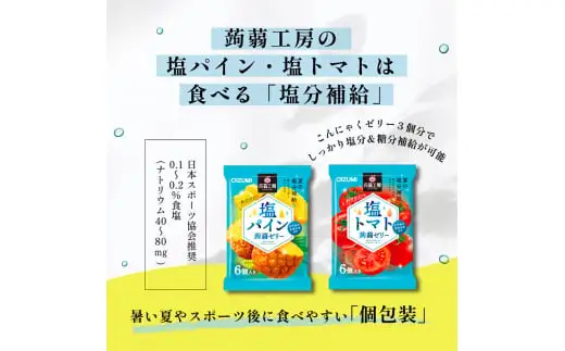 120粒入り！下仁田の蒟蒻ゼリーソフトタイプ2種 塩分チャージセット（2種×10袋6粒入り）F21K-387