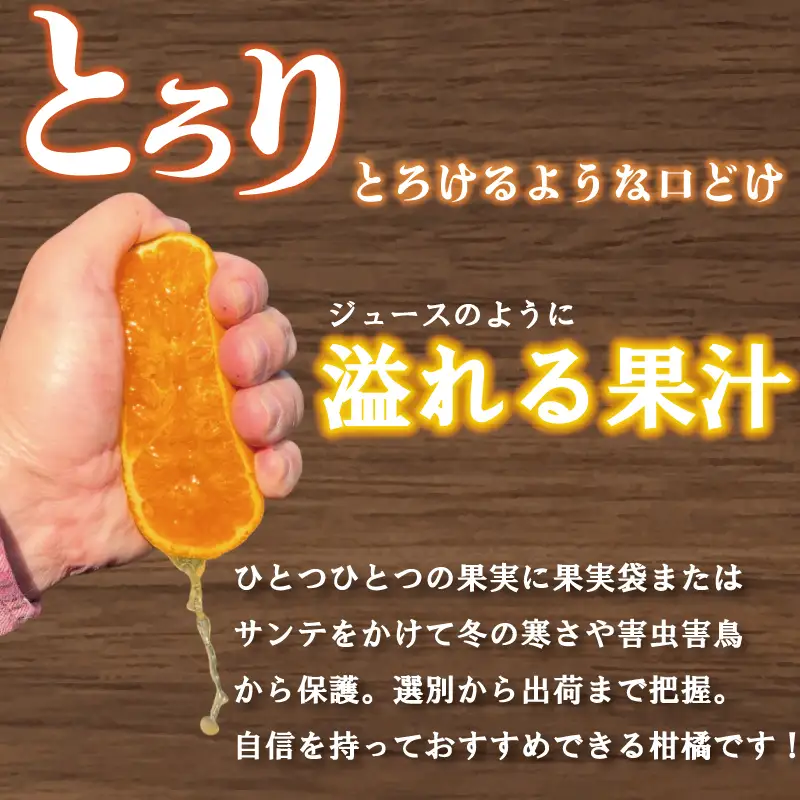 【愛媛県産】 せとか 約5kg  訳あり せとか【TKG0121】