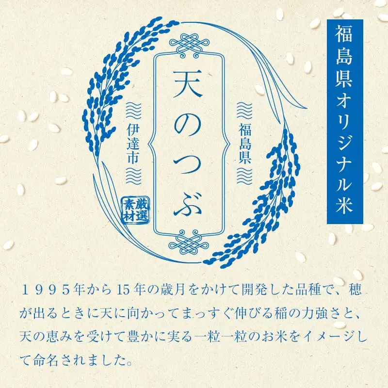 〈定期便〉さいとう農園が作った天のつぶ 精米5kg×3か月 白米 【先行予約】2026年11月下旬より順次発送 ご飯 ごはん ライス 伊達市 F20C-920