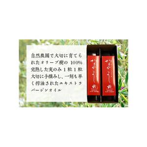 スキンケア美容オイル「なかよし」 2本入り（31ml×2本）