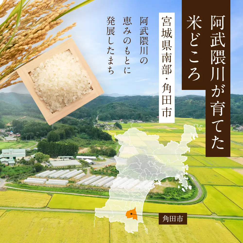 令和8年産 つや姫 10kg（5kg×2袋）｜8年産米 新米予約 つや姫 宮城県角田市産 米 コメ 白米 精米 角田健土農場