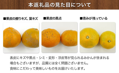 みかん ご家庭用  約 5kg 坂田農園 みかん