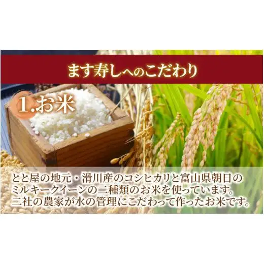 魚屋が作ったネタの厚います寿し　いみずサクラマス寿し 1段【本州のみ発送】　[A-024011]