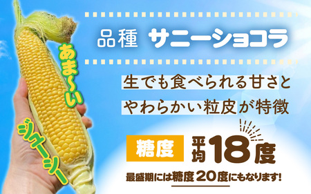 サニーショコラ　9本セット | とうもろこし