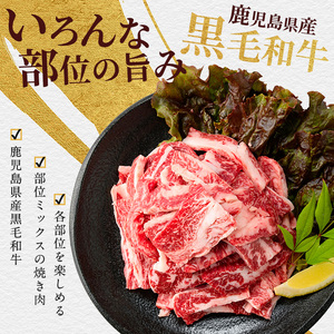 黒毛和牛 A5等級 鹿児島県産 黒毛和牛 焼肉 切り落とし750g IB112-016