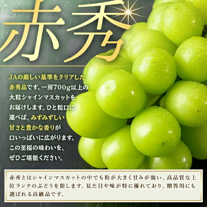 特選シャインマスカット(約5kg)シャインマスカット ぶどう 葡萄 フルーツ 果物 くだもの 果実 特選＜先行予約受付中！2026年8月下旬より順次発送予定＞＜北海道、沖縄、離島配送不可＞【106300700】【大分県農業協同組合　北部エリア】