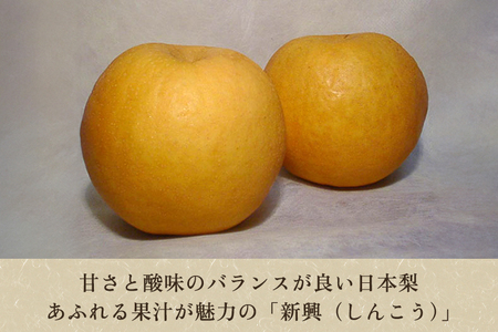 【2026年先行予約】和梨 新興 5kg（7～10玉） 《10月下旬から順次発送》 果物 フルーツ 梨 和梨 デザート 加茂市 新太郎農園