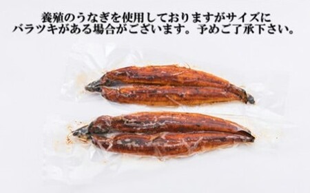 A1470.ジャンボうなぎの蒲焼２尾（計１，０００ｇ前後）『１～２ヶ月前後でお届け！！』