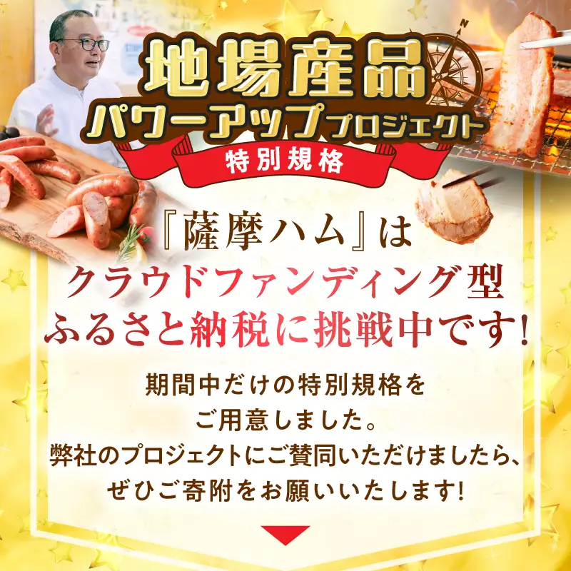 【 訳あり 】 【 全12回 】切り落とし ベーコン 定期便 K161-T03 肉 豚肉 冷凍