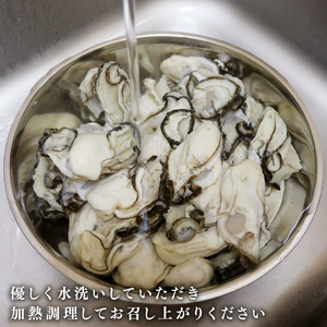 訳あり 春っこ牡蠣 500g 加熱用  [10月～4月発送]  牡蠣
