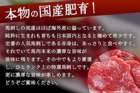 【 国産 】阿蘇肥育 特選 馬刺し 300g 熊本県 阿蘇 肥育 希少 国内産 厳選 赤身 馬刺し 冷凍 馬肉 定番 熊本特産 多良木町 ばさし 肉 030-0715