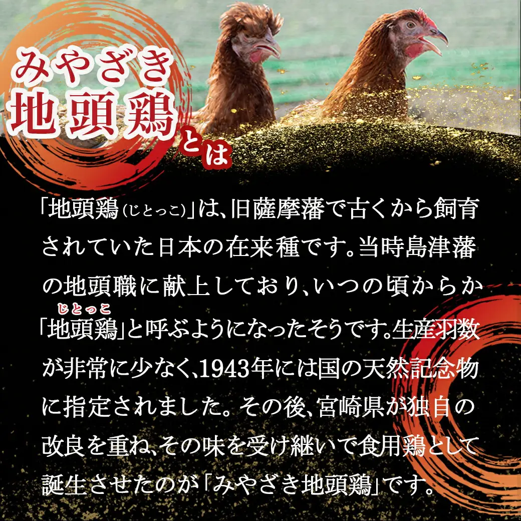 みやざき地頭鶏の炭火焼き真空パック3個(ゆずこしょう付)〔11-J701〕_(都城市) 地頭鶏の炭火焼き 120g×3 宮崎県産青ゆずこしょう 20g×1 モモ・ムネ肉 真空パック 炭火焼き 地鶏