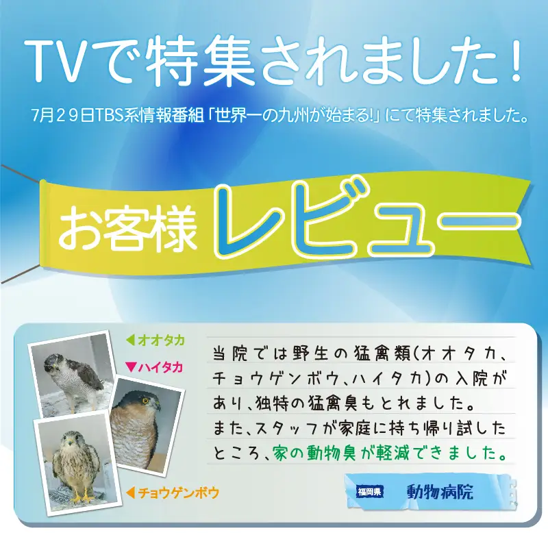 【 消臭 】 ニオイヤー Ⅱ (ブラック) 脱臭器 小型家電
