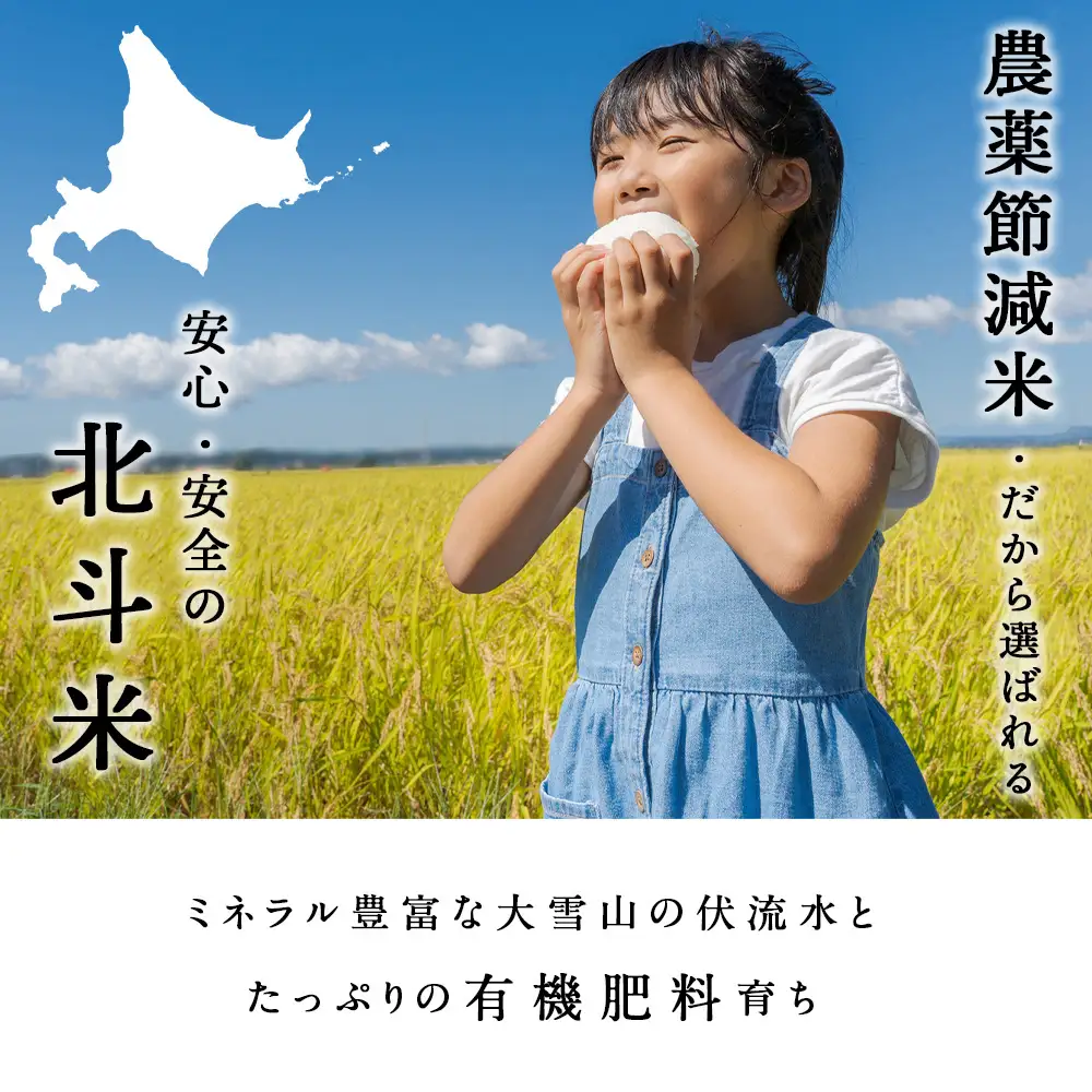 【レビューキャンペーン実施】【7営業日以内発送】【令和7年産】北斗米ななつぼし20kg（5kg×4袋）