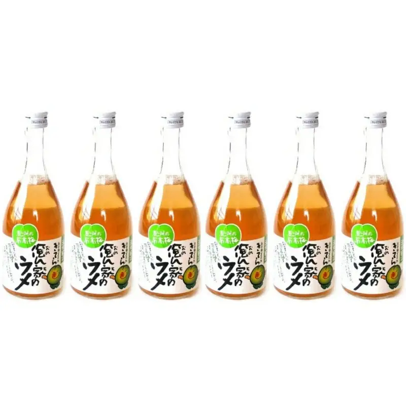 俺ん家の梅ジュース500ml×12本セット / 和歌山 和歌山県産 田辺市 紀州南高梅 南高梅 梅 梅ジュース なつかしい【ktr017-2】