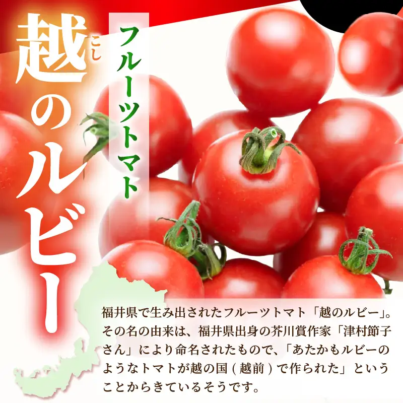 フルーツトマト 越のルビー 2kg 化粧箱入り 2026年10月上旬以降順次発送 とまと 野菜 [A-19103]