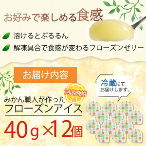 河内晩柑 フローズン ゼリー 12個 ゼリー 武田屋