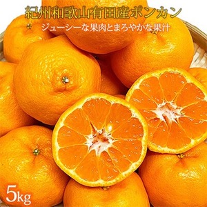 〈定期便〉【1・2・3月 全3回】紀州和歌山産旬のフルーツセット(みかん・ポンカン・紀州デコ) ｜ フルーツ