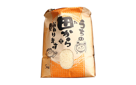 【定期便】 漢方栽培 十四代目のはえぬき 5kg（精米）全12回 米 お米 おこめ 山形県 新庄市 F3S-2070