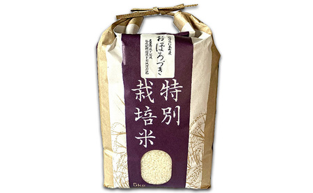 おぼろづき 産直 精米 北海道産 おぼろづき【5kg】